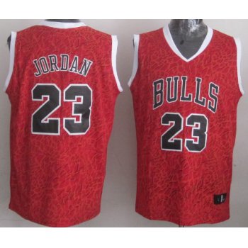 Chicago Bulls #23 Michael Jordan Red Leopard Print Fashion Jersey