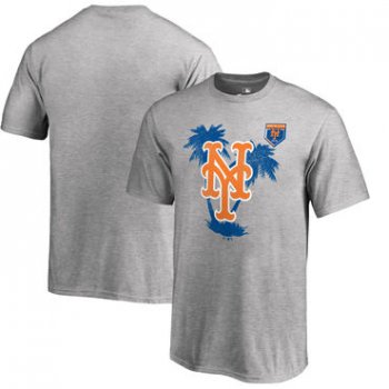 New York Mets Fanatics Branded 2018 MLB Spring Training Vintage T Shirt Heather Gray