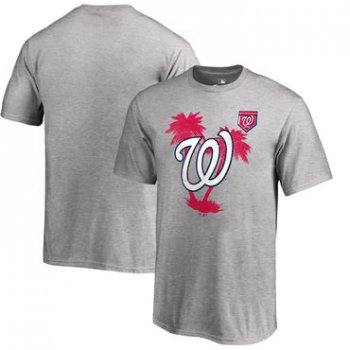 Washington Nationals Fanatics Branded 2018 MLB Spring Training Vintage T Shirt Heather Gray