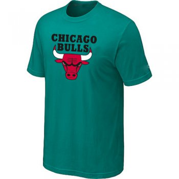 Chicago Bulls Big & Tall Primary Logo Green NBA T-Shirt
